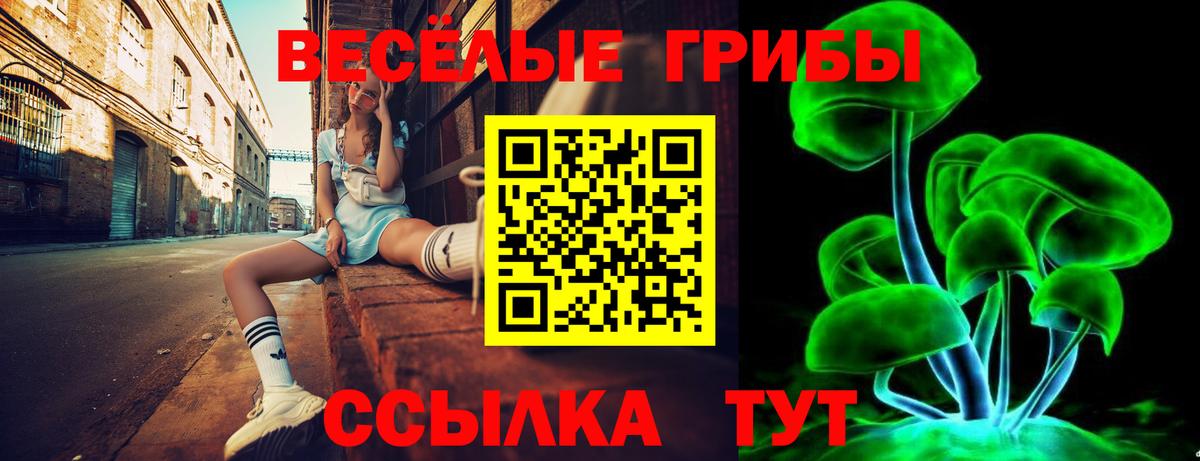 Псков  Галлюциногенные грибы мицелий  Вход с VPN 