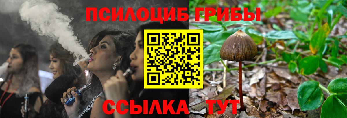 Галлюциногенные грибы ЛСД Псков